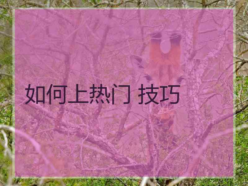 如何上热门 技巧