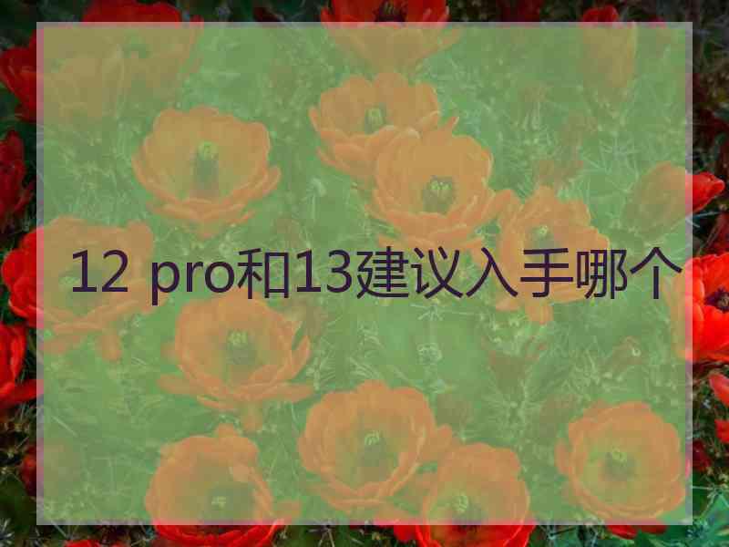 12 pro和13建议入手哪个