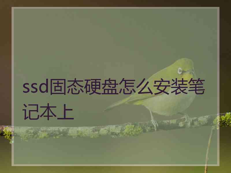 ssd固态硬盘怎么安装笔记本上