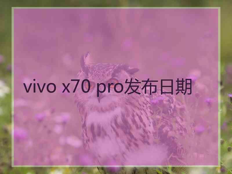 vivo x70 pro发布日期