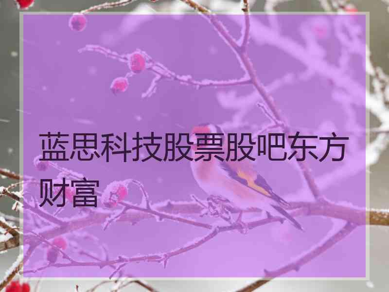 蓝思科技股票股吧东方财富