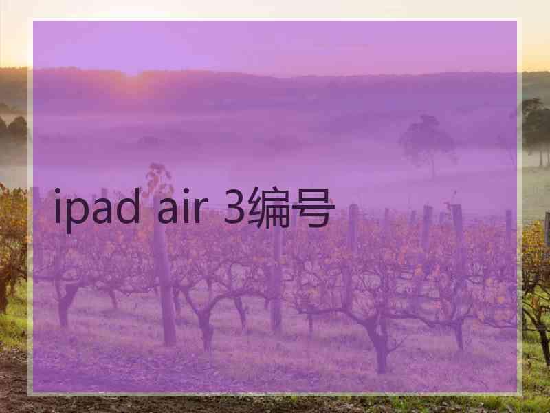 ipad air 3编号