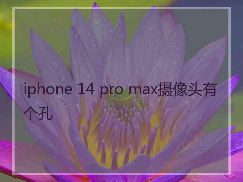 iphone 14 pro max摄像头有个孔