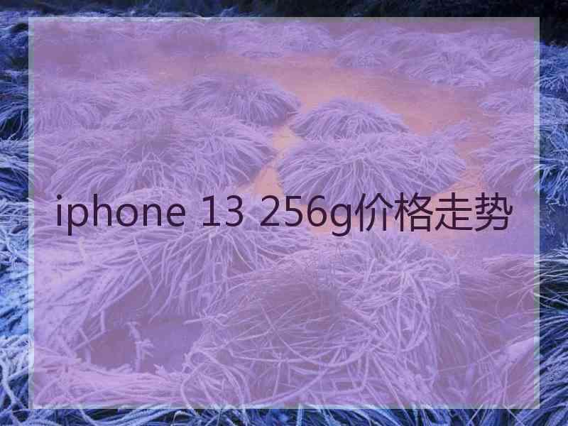 iphone 13 256g价格走势