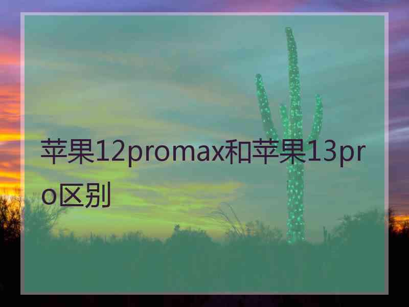 苹果12promax和苹果13pro区别