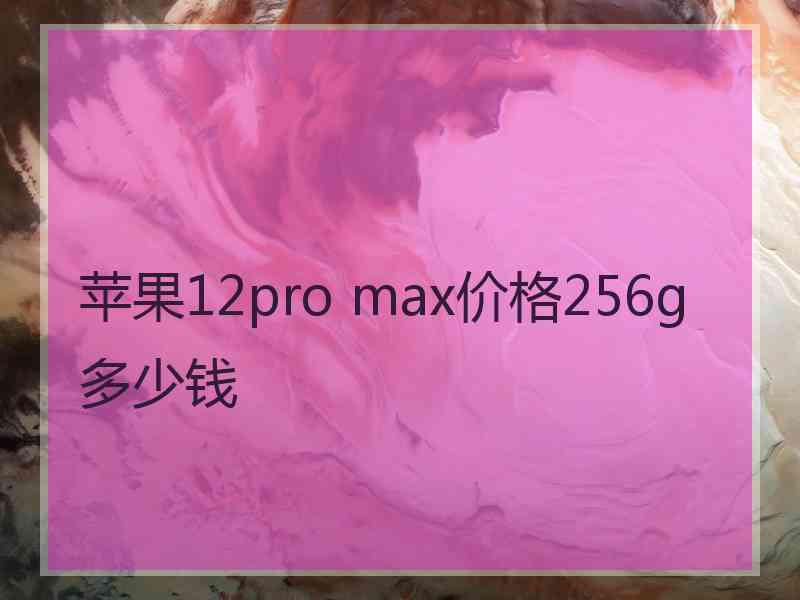 苹果12pro max价格256g多少钱