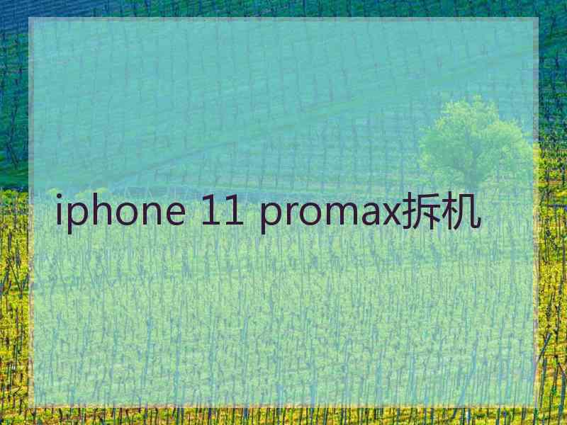 iphone 11 promax拆机