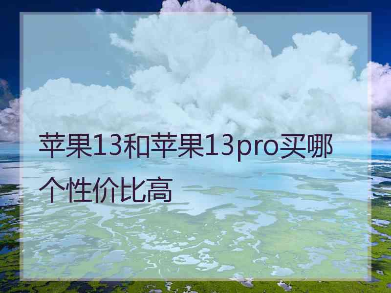 苹果13和苹果13pro买哪个性价比高