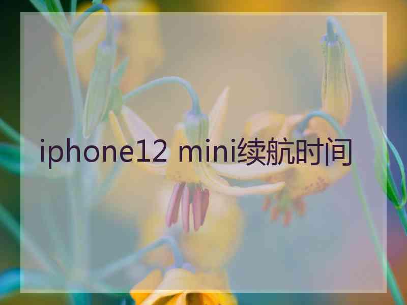 iphone12 mini续航时间