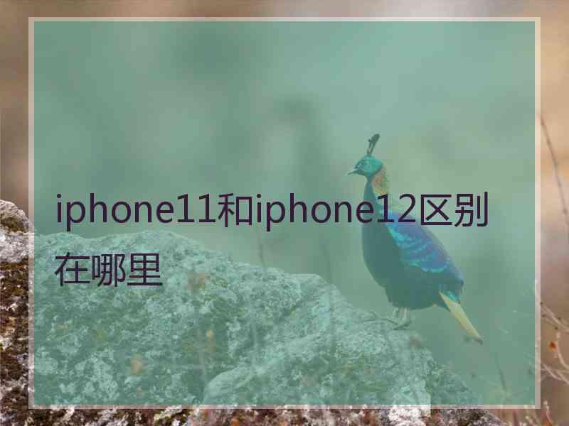 iphone11和iphone12区别在哪里