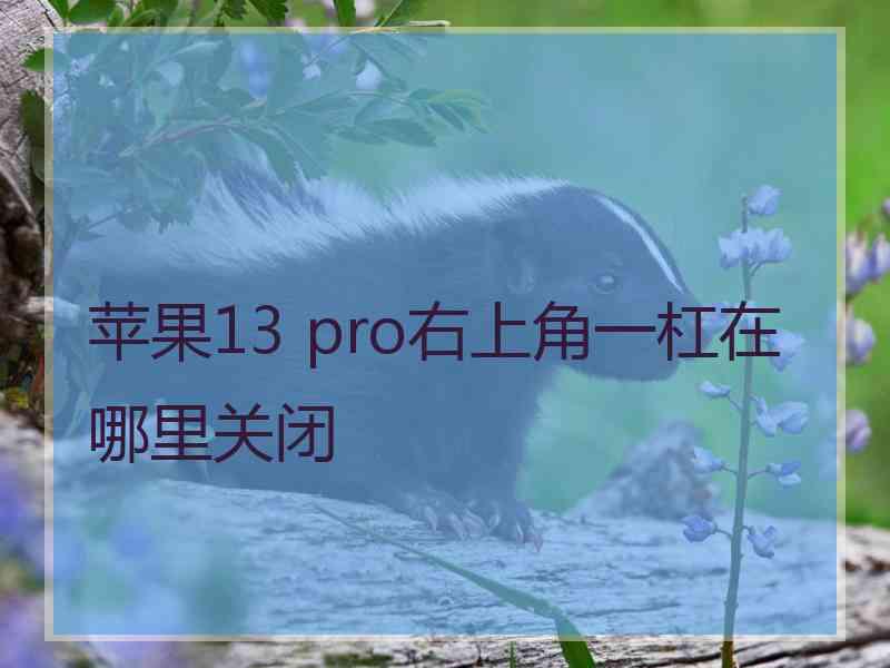 苹果13 pro右上角一杠在哪里关闭