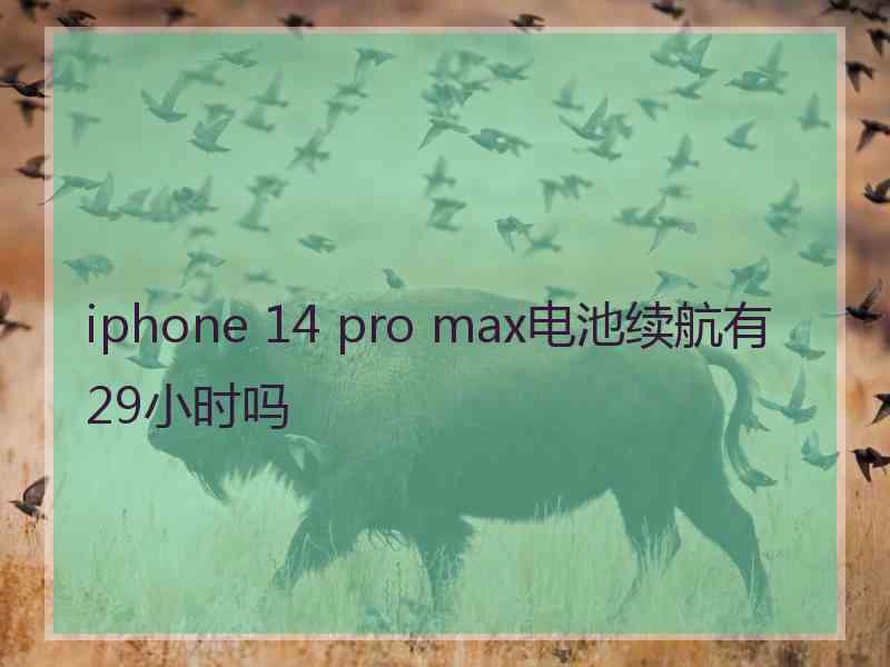 iphone 14 pro max电池续航有29小时吗