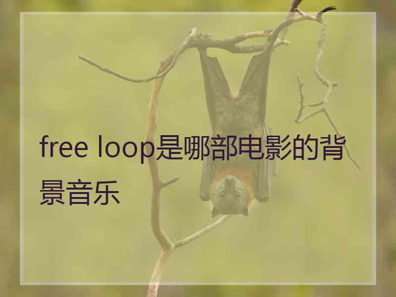 free loop是哪部电影的背景音乐