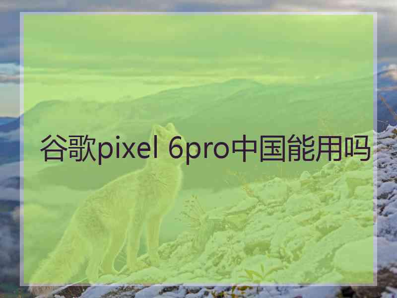 谷歌pixel 6pro中国能用吗