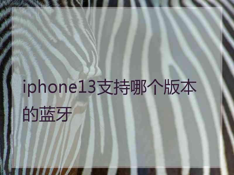 iphone13支持哪个版本的蓝牙