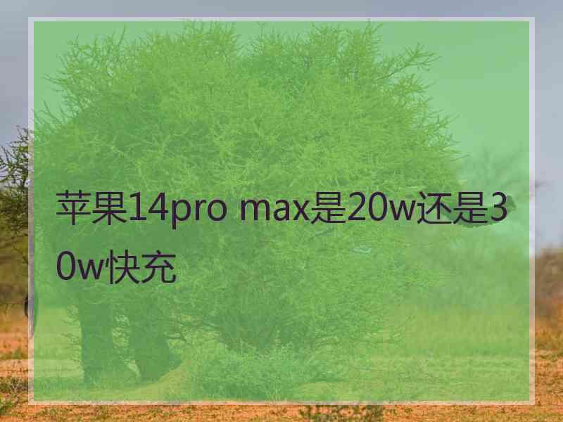 苹果14pro max是20w还是30w快充