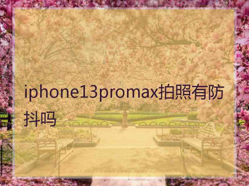 iphone13promax拍照有防抖吗