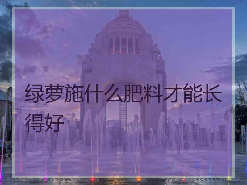 绿萝施什么肥料才能长得好