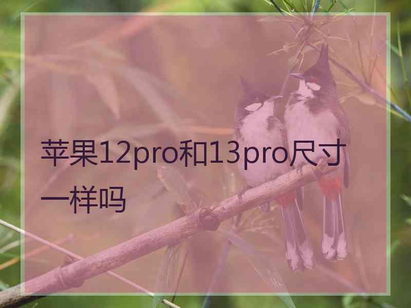 苹果12pro和13pro尺寸一样吗