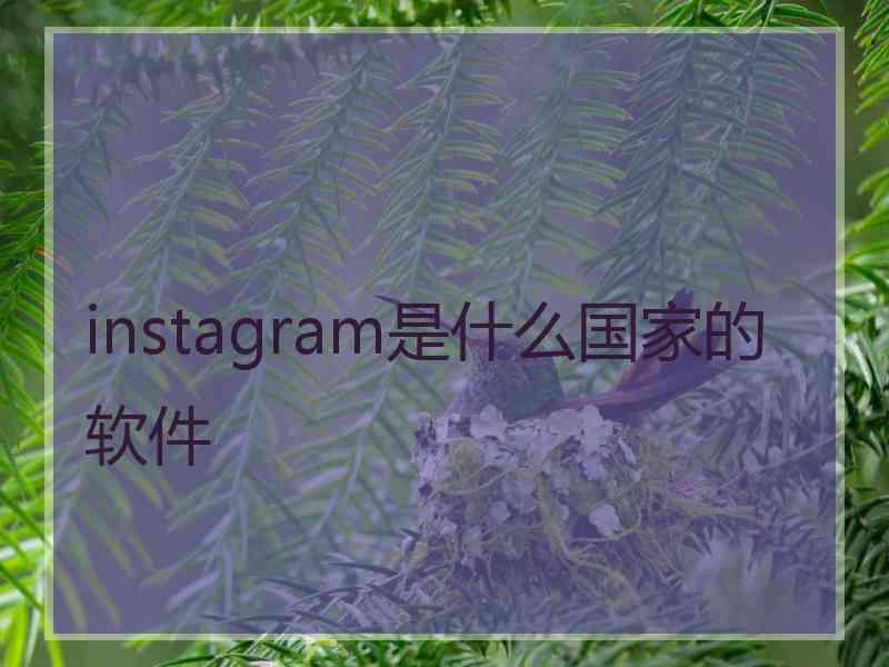 instagram是什么国家的软件