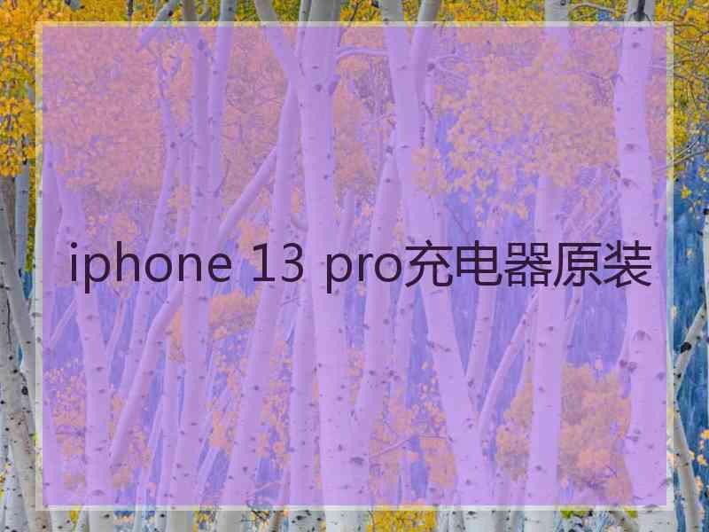 iphone 13 pro充电器原装