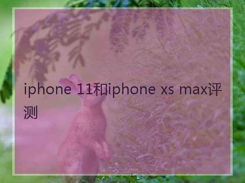 iphone 11和iphone xs max评测