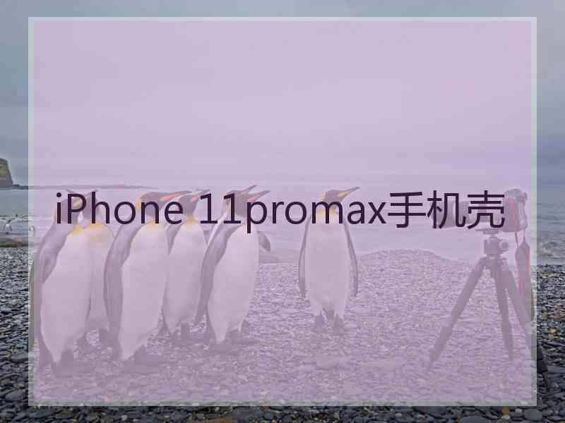 iPhone 11promax手机壳