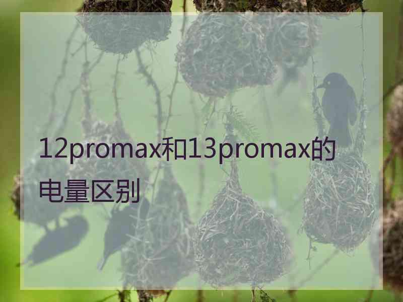 12promax和13promax的电量区别