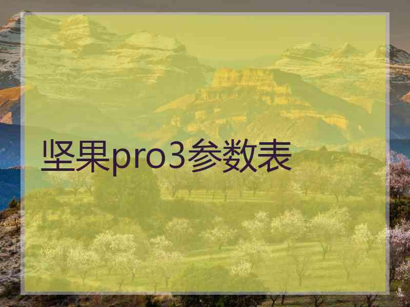 坚果pro3参数表