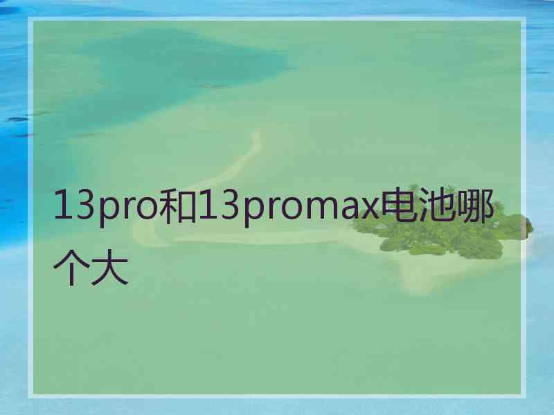 13pro和13promax电池哪个大