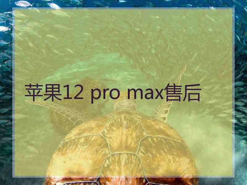 苹果12 pro max售后