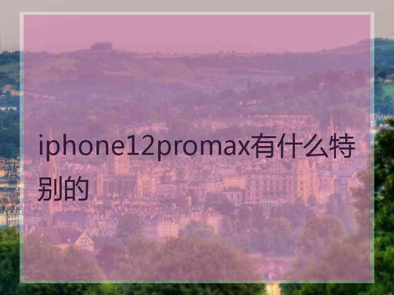 iphone12promax有什么特别的