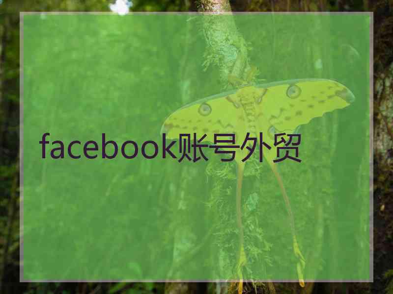 facebook账号外贸