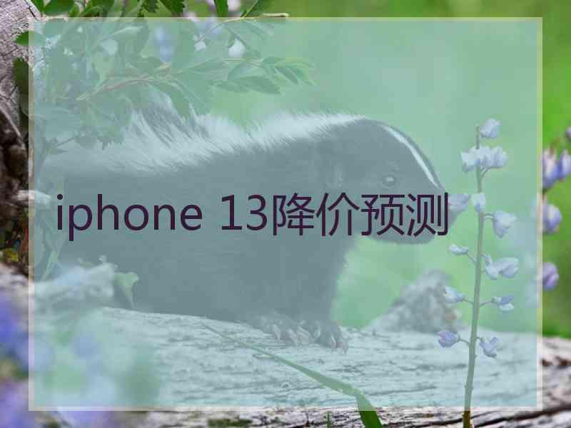 iphone 13降价预测