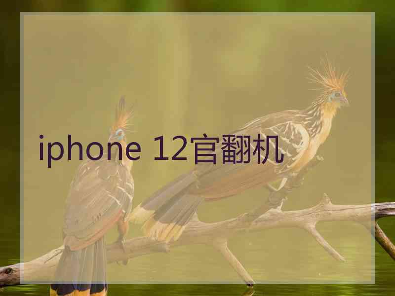 iphone 12官翻机