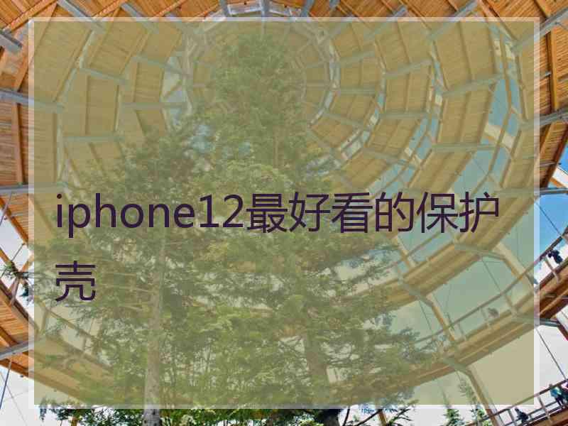 iphone12最好看的保护壳