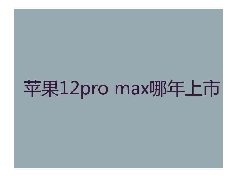 苹果12pro max哪年上市