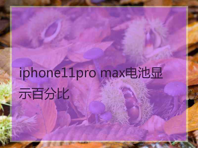 iphone11pro max电池显示百分比