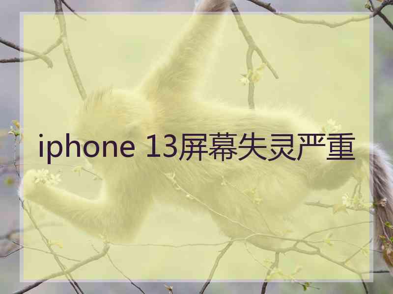 iphone 13屏幕失灵严重