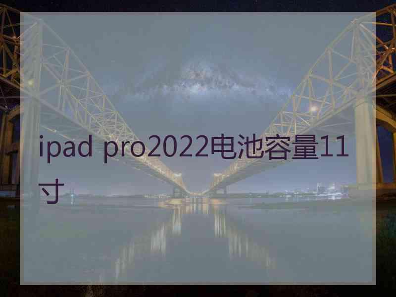 ipad pro2022电池容量11寸