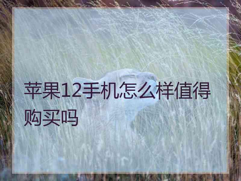 苹果12手机怎么样值得购买吗