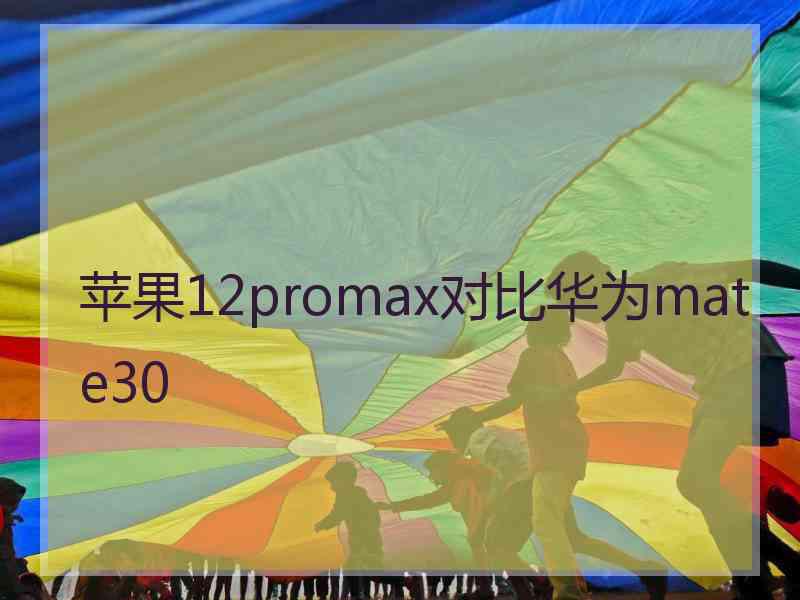 苹果12promax对比华为mate30