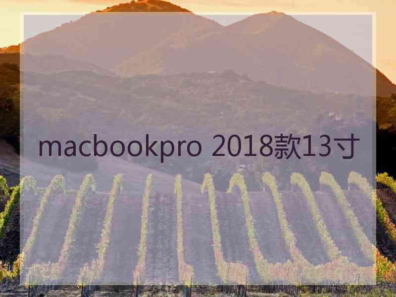 macbookpro 2018款13寸