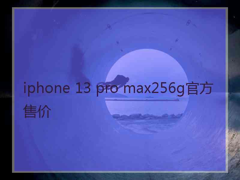 iphone 13 pro max256g官方售价