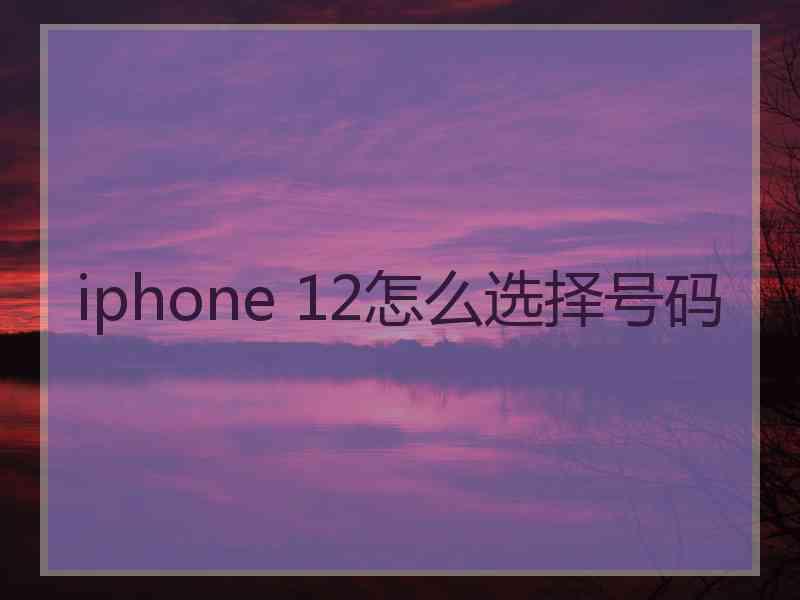 iphone 12怎么选择号码