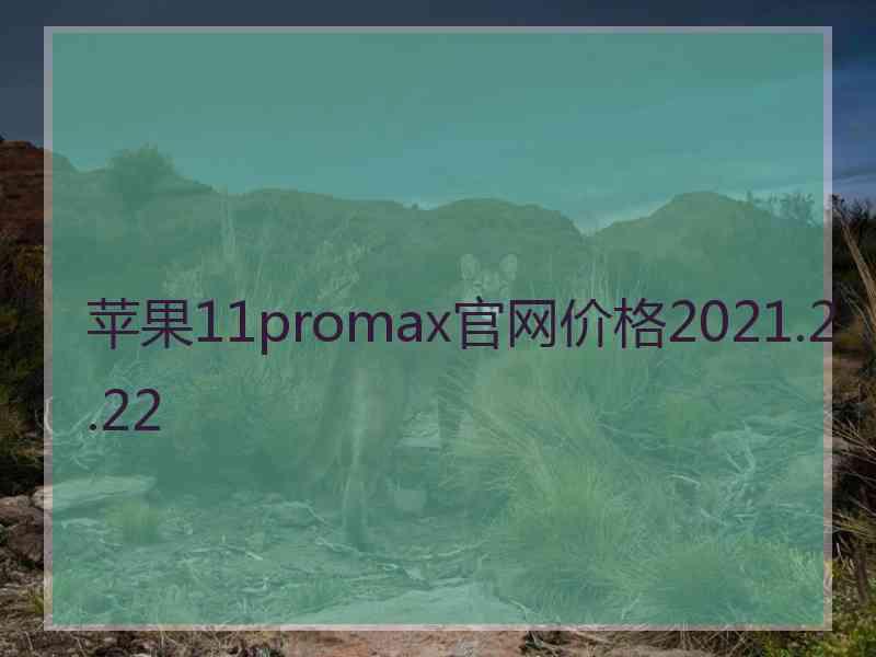 苹果11promax官网价格2021.2.22