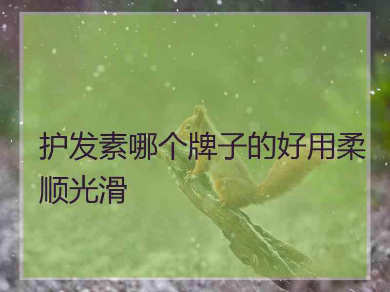 护发素哪个牌子的好用柔顺光滑