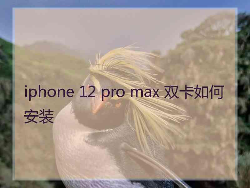 iphone 12 pro max 双卡如何安装