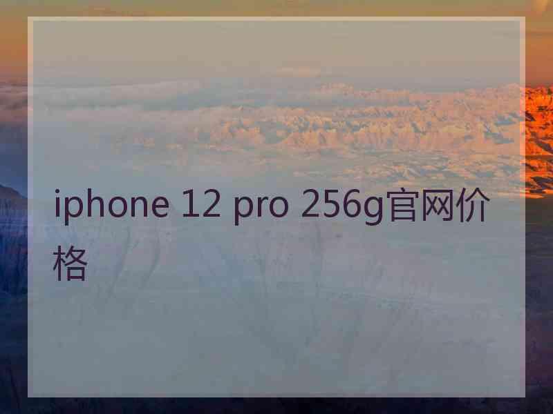 iphone 12 pro 256g官网价格