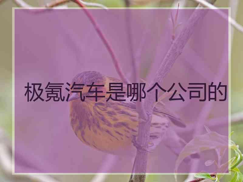 极氪汽车是哪个公司的